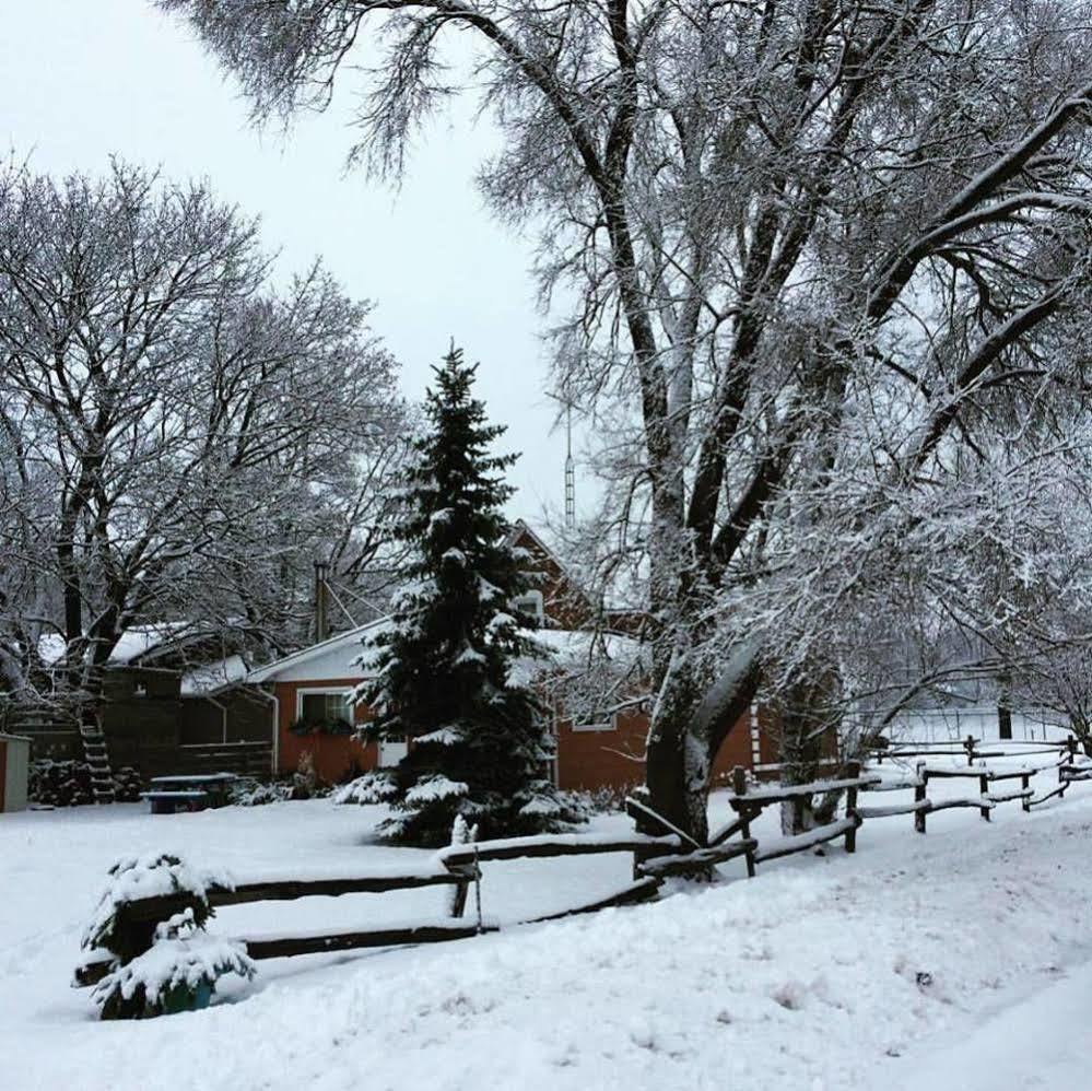 Emily'S Place B&B Creemore Exterior foto